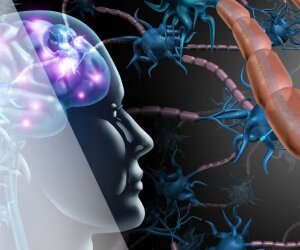 Needle by Needle: Acupuncture and Healing from Trauma