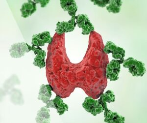 How Acupuncture Supports Healing in Autoimmune Diseases