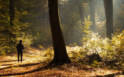 How Time in Nature Transforms Your Health