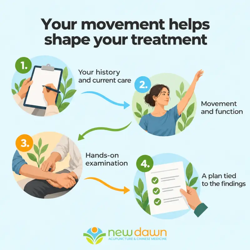 Four parts of an orthopedic acupuncture assessment: your history and current care, movement and function, hands-on examination, and a plan tied to the findings.